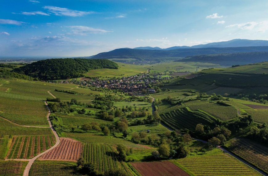 Alsace Wine Region Guide: History, Terroir…
