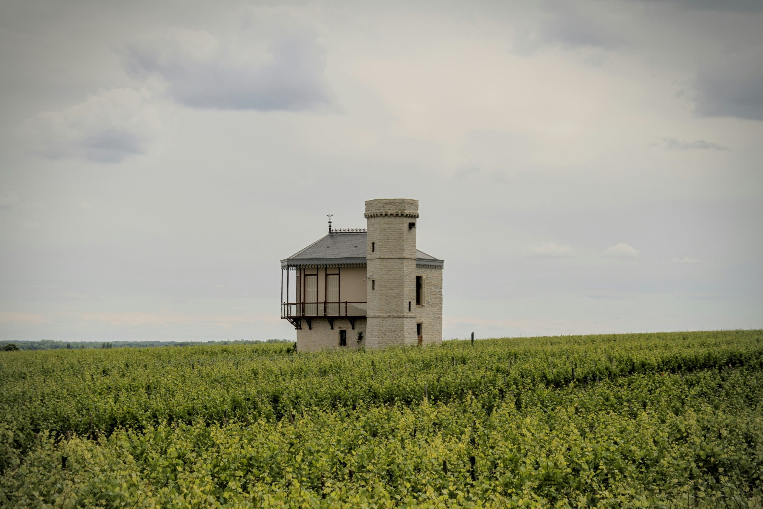 Featured image for Climats, Terroirs Of Burgundy: How Place Shapes Pinot And Chardonnay on mywination.com.