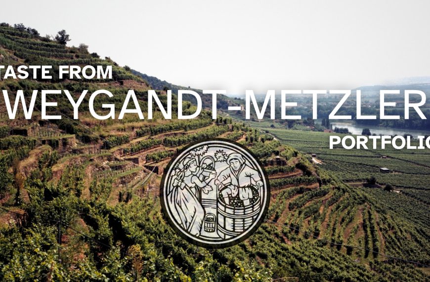 Why Weygandt-Metzler Importing Is Worth Knowing